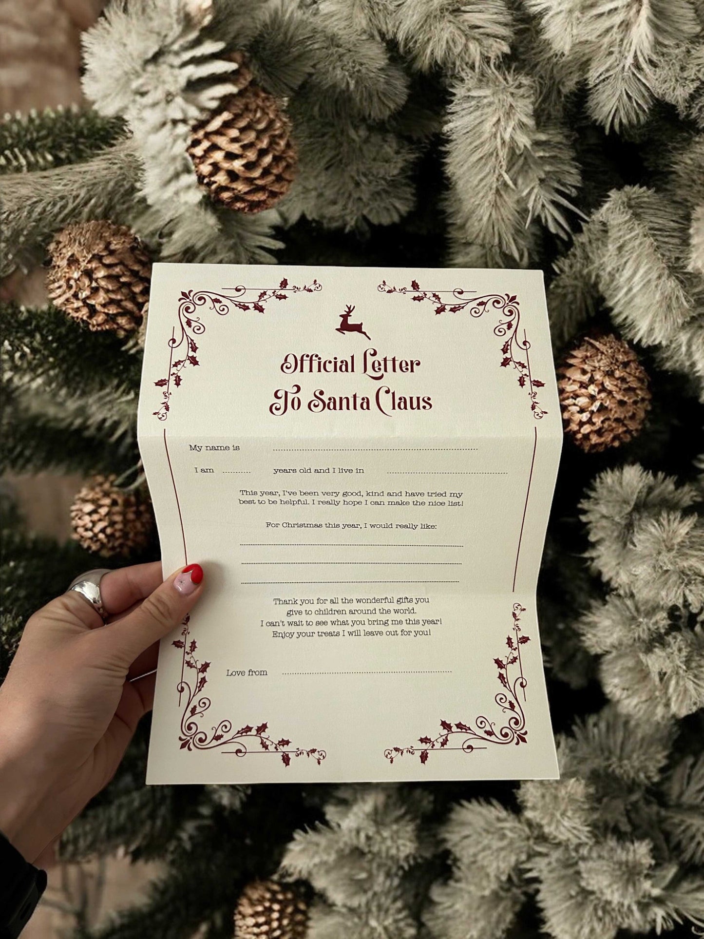 Traditional Personalised Letter To & From Santa Claus Digital Template