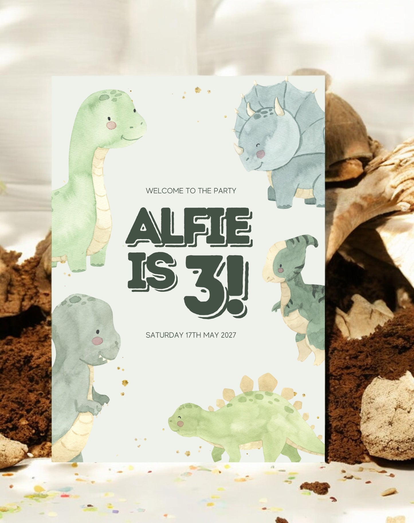 Alfie's Dinosaur Birthday Party Bundle Kit