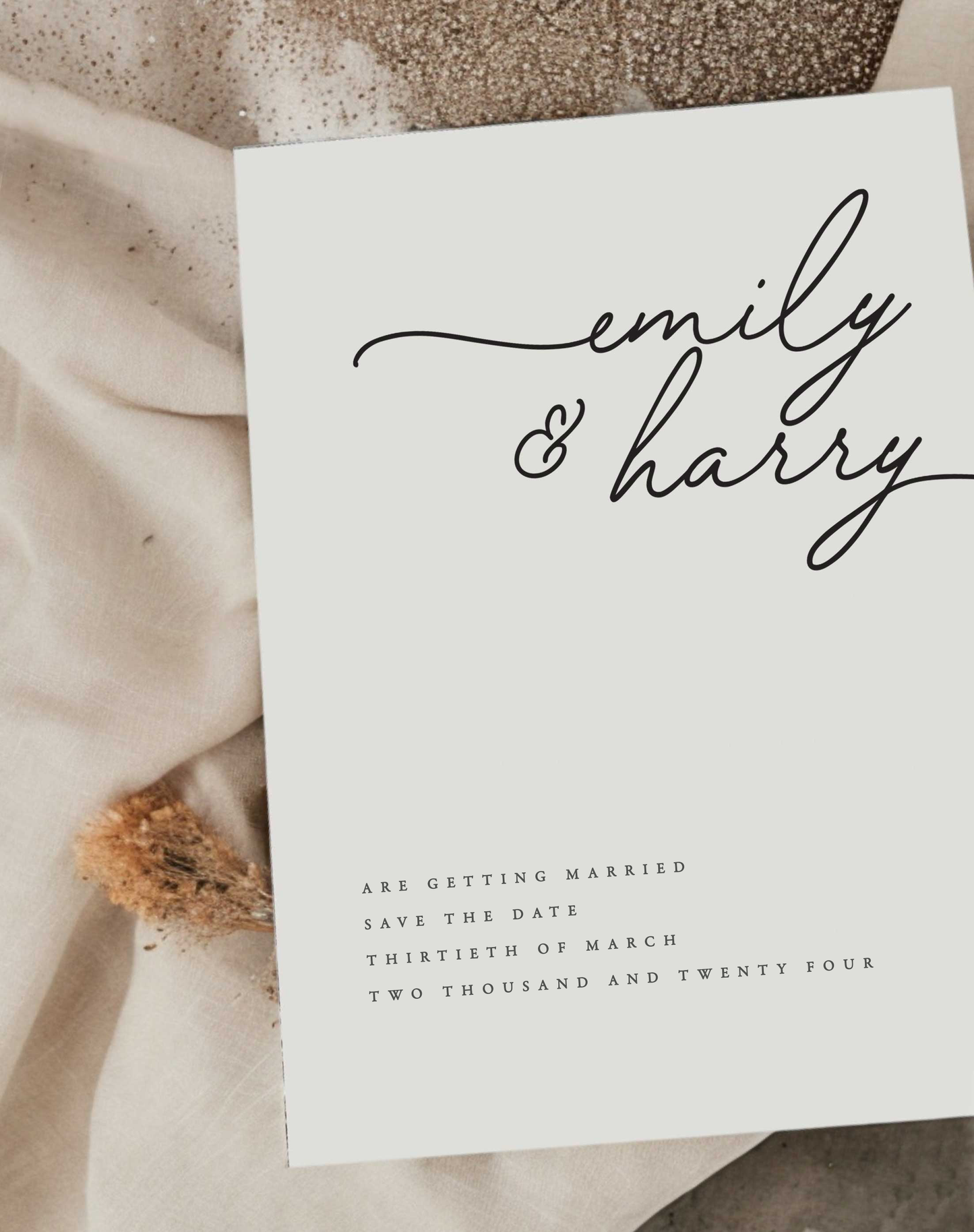 Emily Contemporary Wedding Save The Date