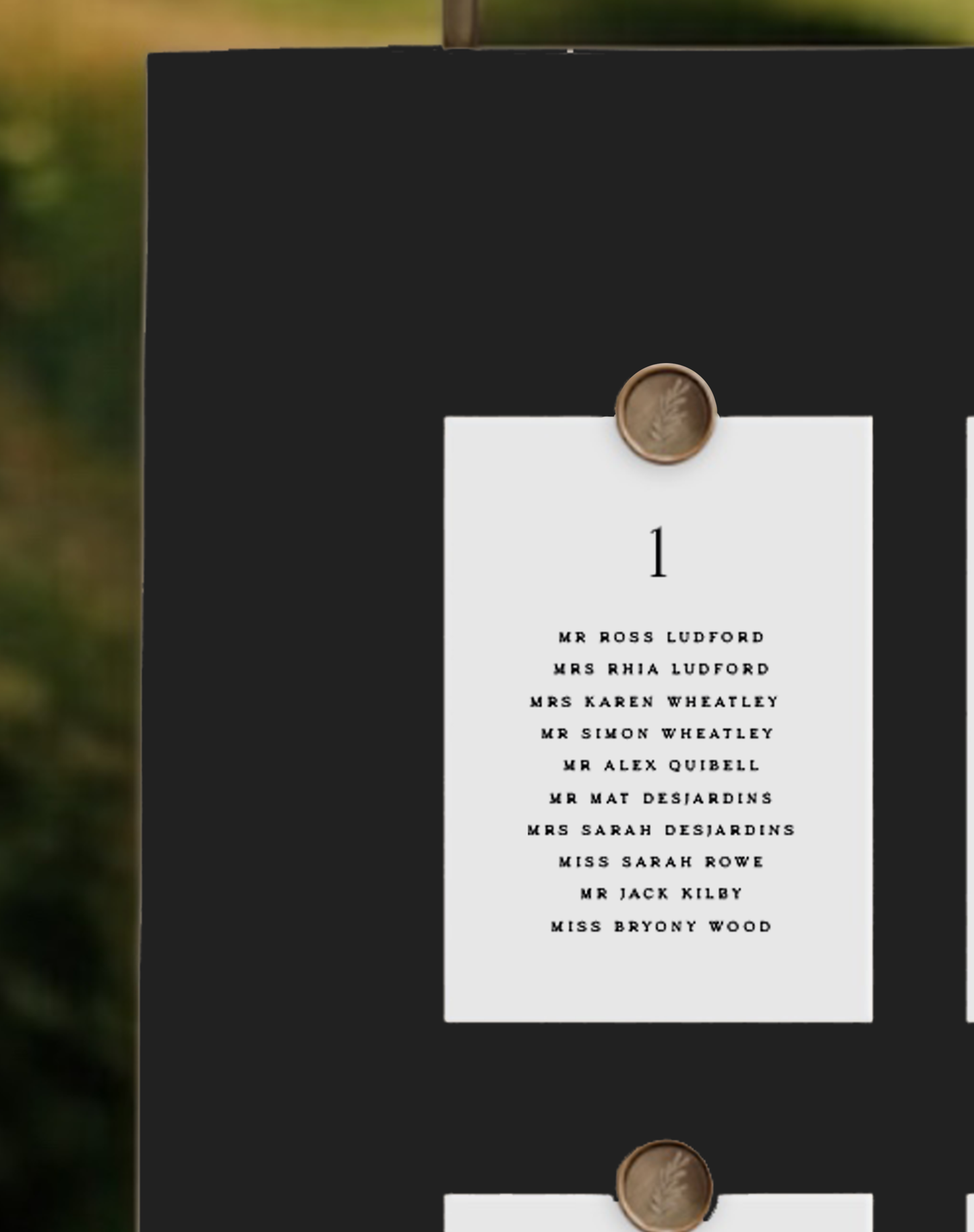 Mila | Minimal Seating Plan Card - Ivy and Gold Wedding Stationery -  