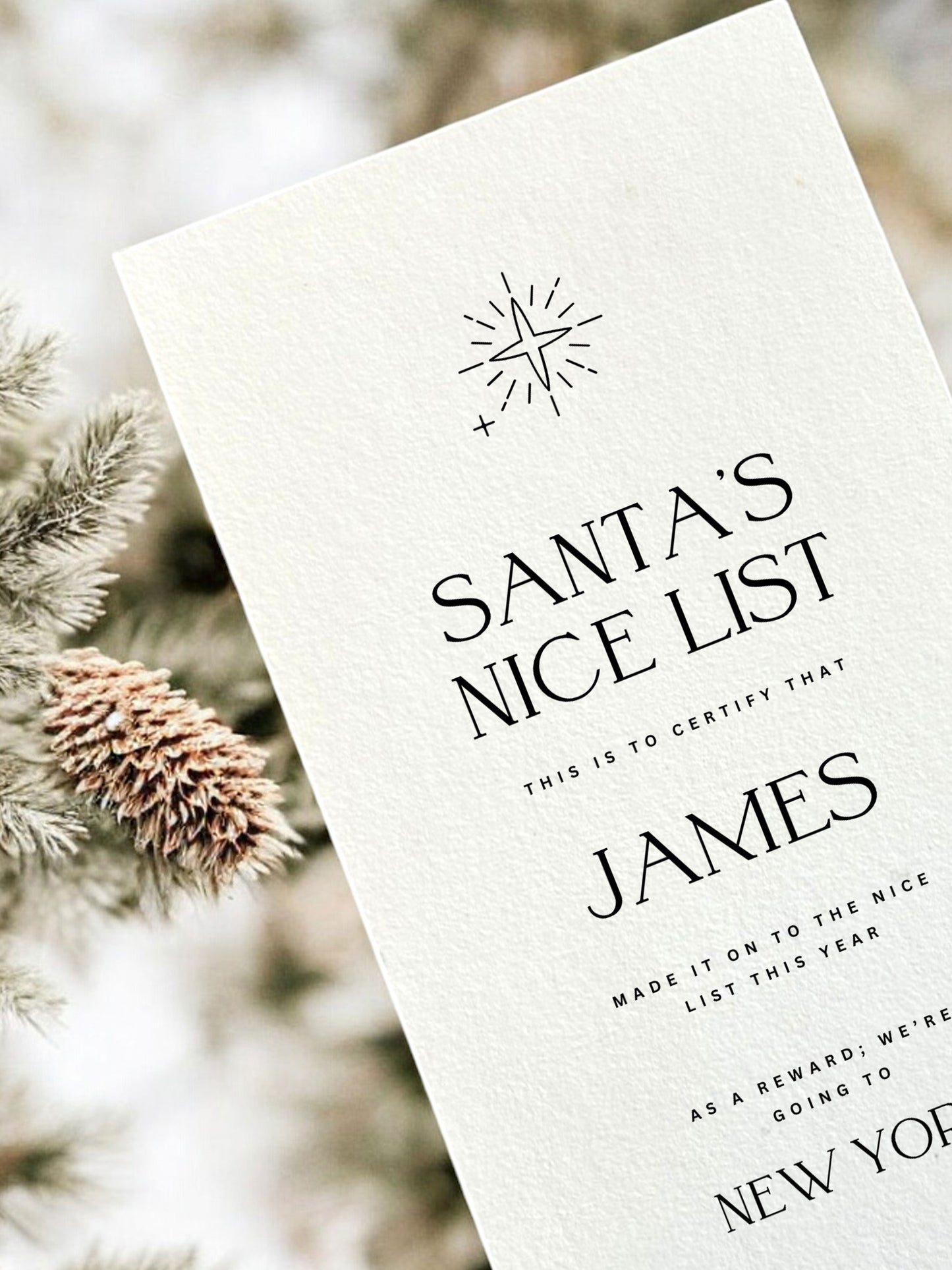 Personalized Santa Nice List Gift Voucher Digital Template